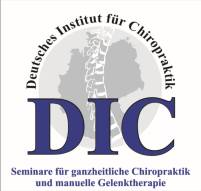 DIC Logo JPG